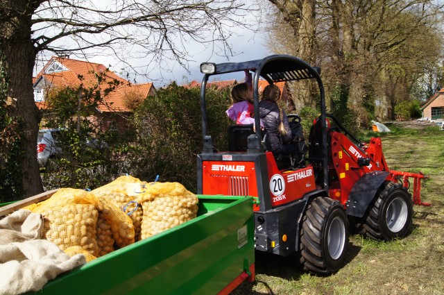 Kartoffeln