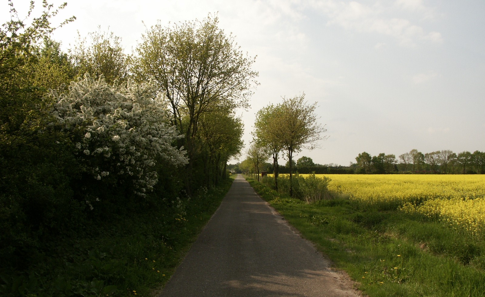 Weg zum Brunbarg